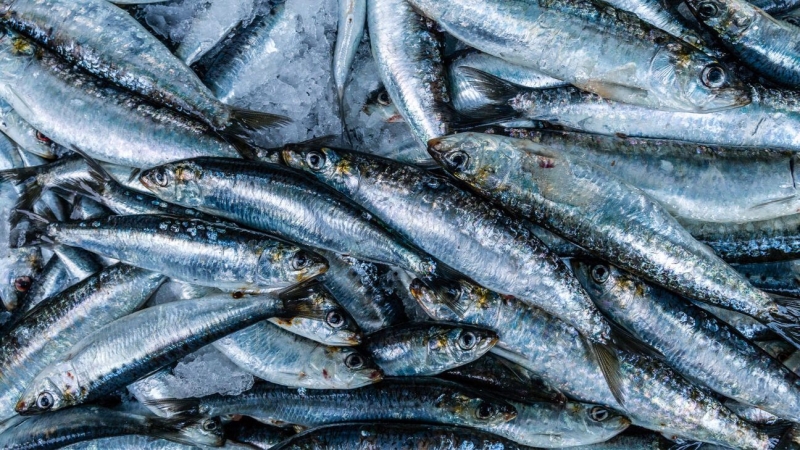 Eating Nothing But Sardines May Help You Lose Weight, But Experts Say It’s a Bad Idea